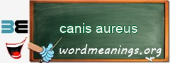 WordMeaning blackboard for canis aureus